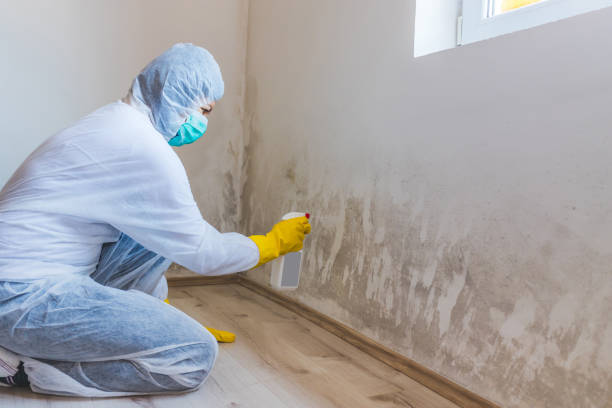 Licensed Crawl Space Mold Removal service in Burtonsville, MD - WQB Mold Removal