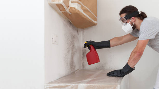 Professional Crawl Space Mold Removal technician working in Burtonsville, MD