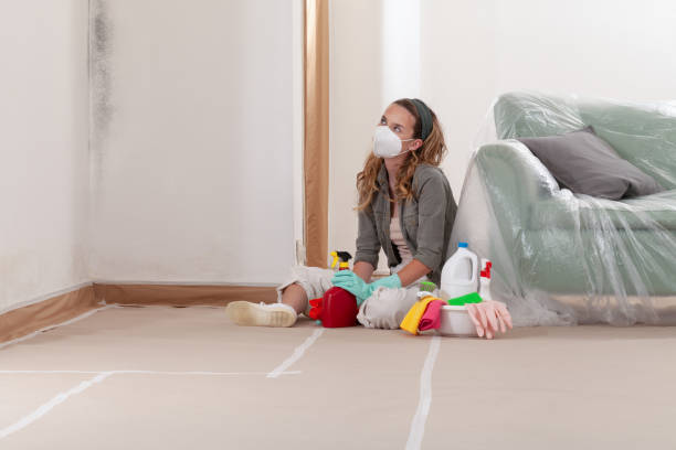 Reliable Crawl Space Mold Removal contractor in Burtonsville, MD by WQB Mold Removal